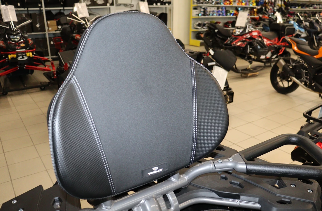 Квадроцикл PROMAX RENEGADE 300 LONG WINCH PRO (2025) в Барнауле