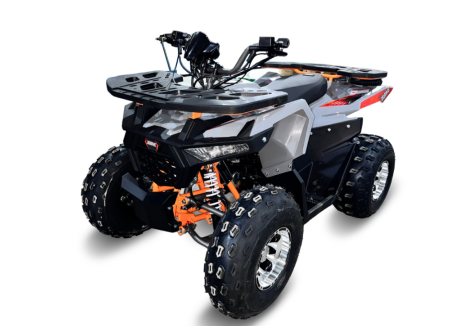 Квадроцикл GBM DAXTER 220 NEW PREMIUM в Барнауле