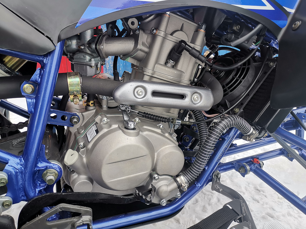 Квадроцикл PROMAX RAPTOR 300 NEW RedBull в Барнауле