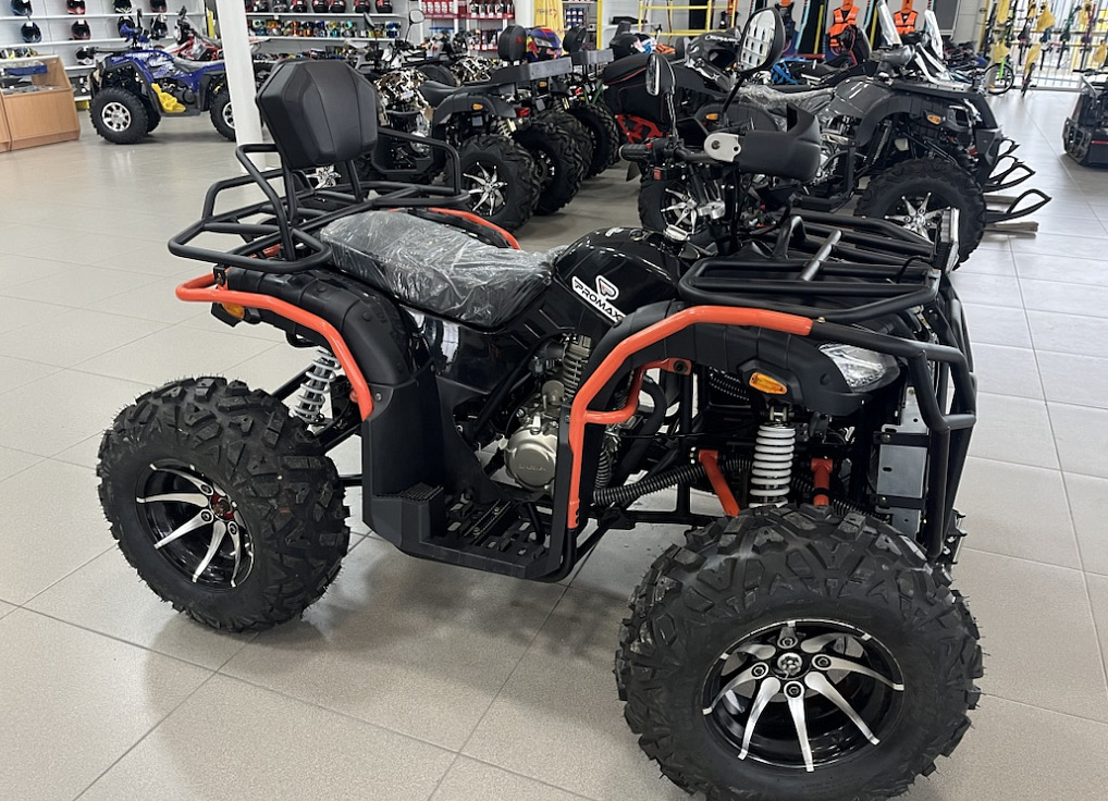 Квадроцикл PROMAX 300 4X4 ALL ROAD в Барнауле