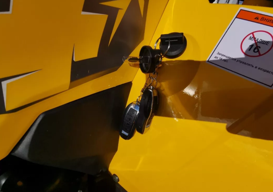 Квадроцикл MOTOLAND (МОТОЛЕНД) VOX200 WILD TRACK X PRO (баланс. вал) в Барнауле