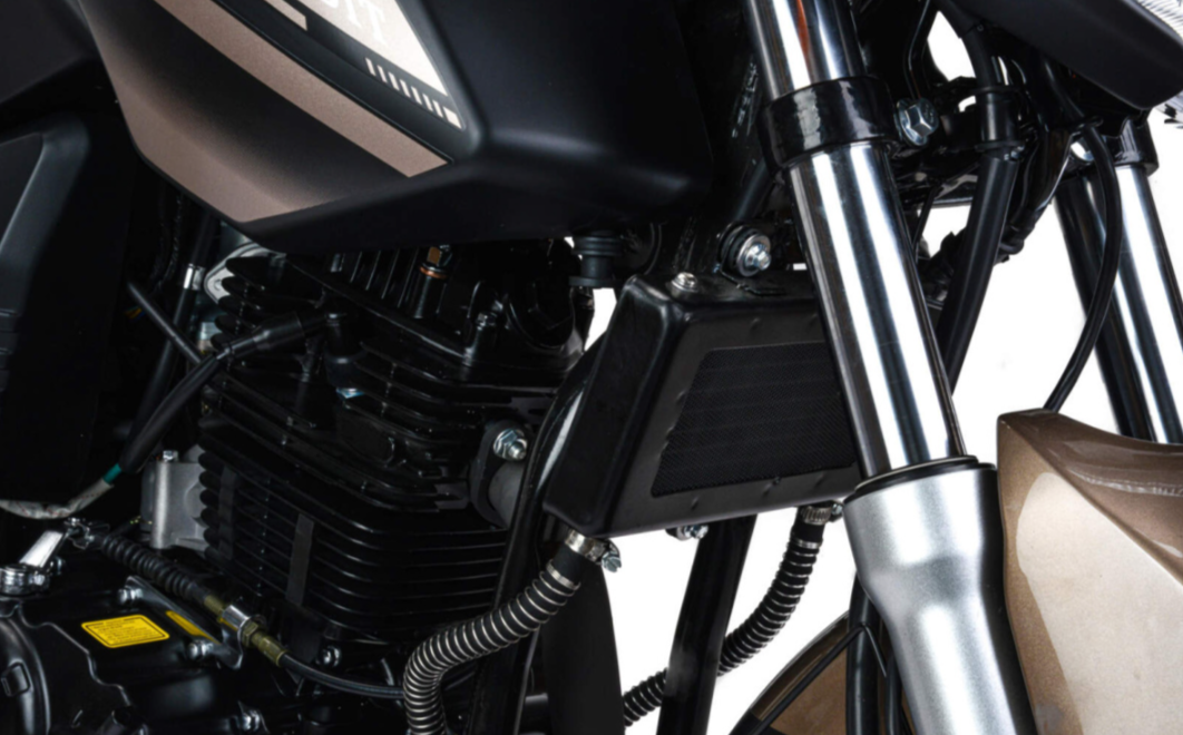 Мотоцикл MOTOLAND (МОТОЛЕНД) 300 BANDIT в Барнауле