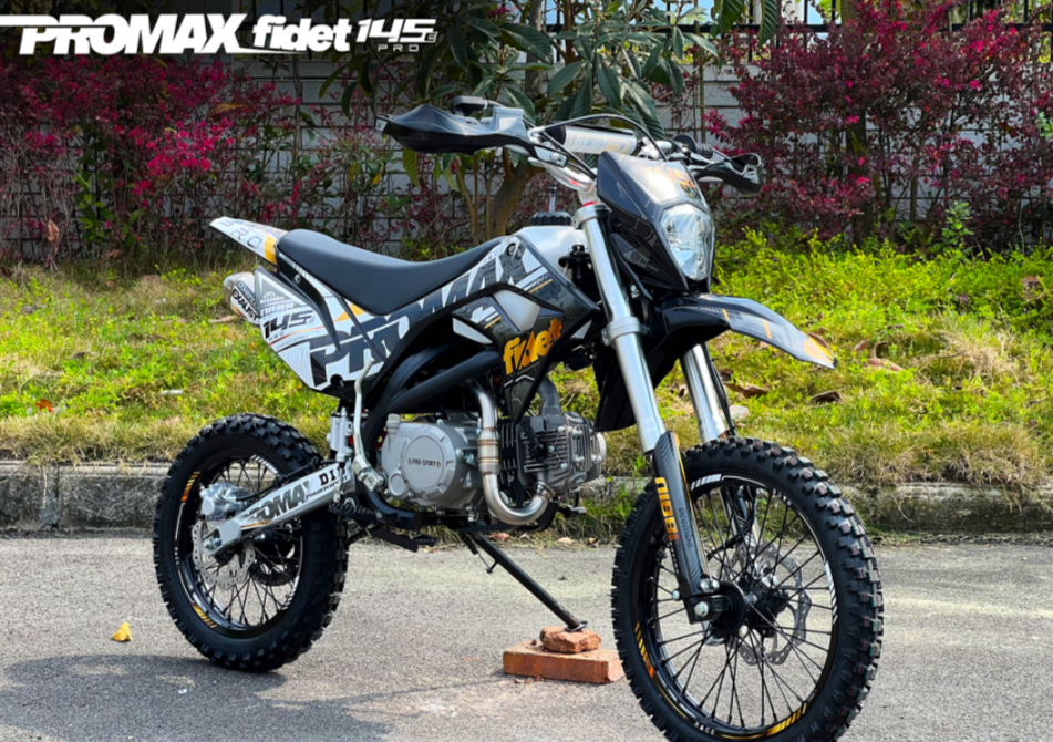 Мотоцикл (питбайк) PROMAX FIDET (ФАЙДЕТ) 145E PRO 17/14 в Барнауле
