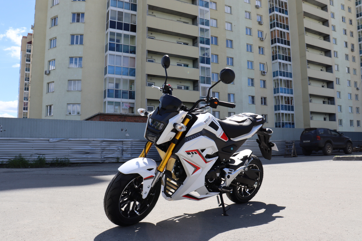 Мотоцикл PROMAX STRYKER 200(49) 2.0 в Барнауле