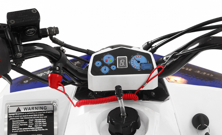 Квадроцикл Yacota Raposa 110 в Барнауле