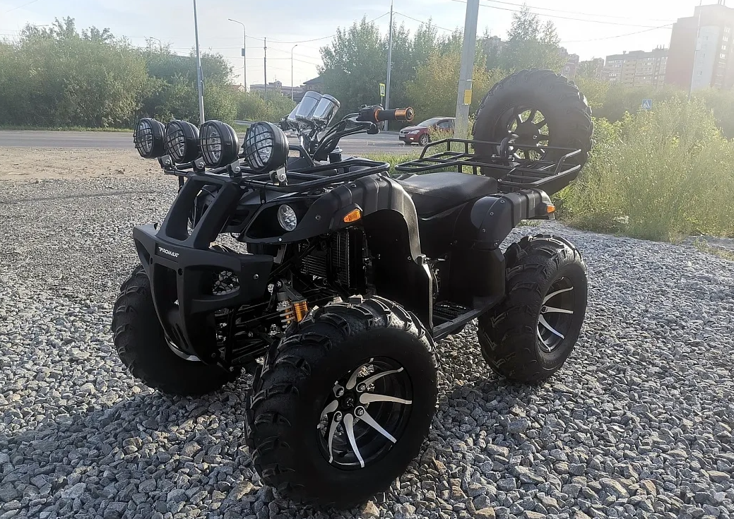 Квадроцикл PROMAX LEO 300 Max (кардан) в Барнауле