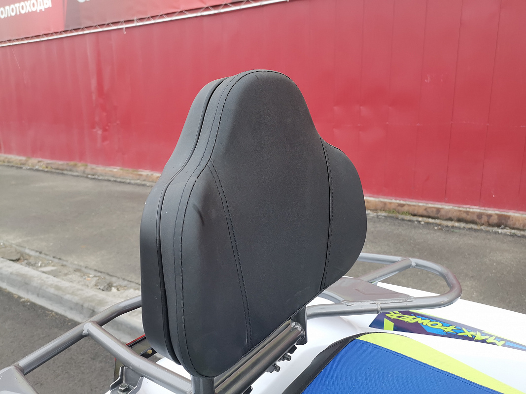 Квадроцикл PROMAX RENEGADE 280 LUX (2025) в Барнауле