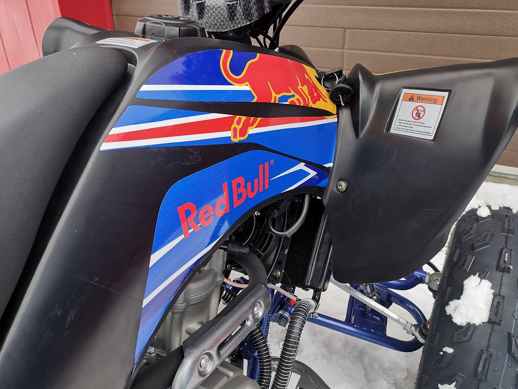 Квадроцикл PROMAX RAPTOR 300 NEW RedBull в Барнауле