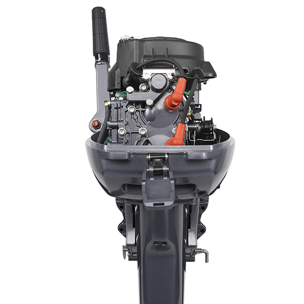 ЛОДОЧНЫЙ МОТОР ALLFA CG Т9,9 Limit в Барнауле