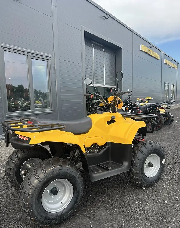 КВАДРОЦИКЛ IRBIS ATV 250  в Барнауле