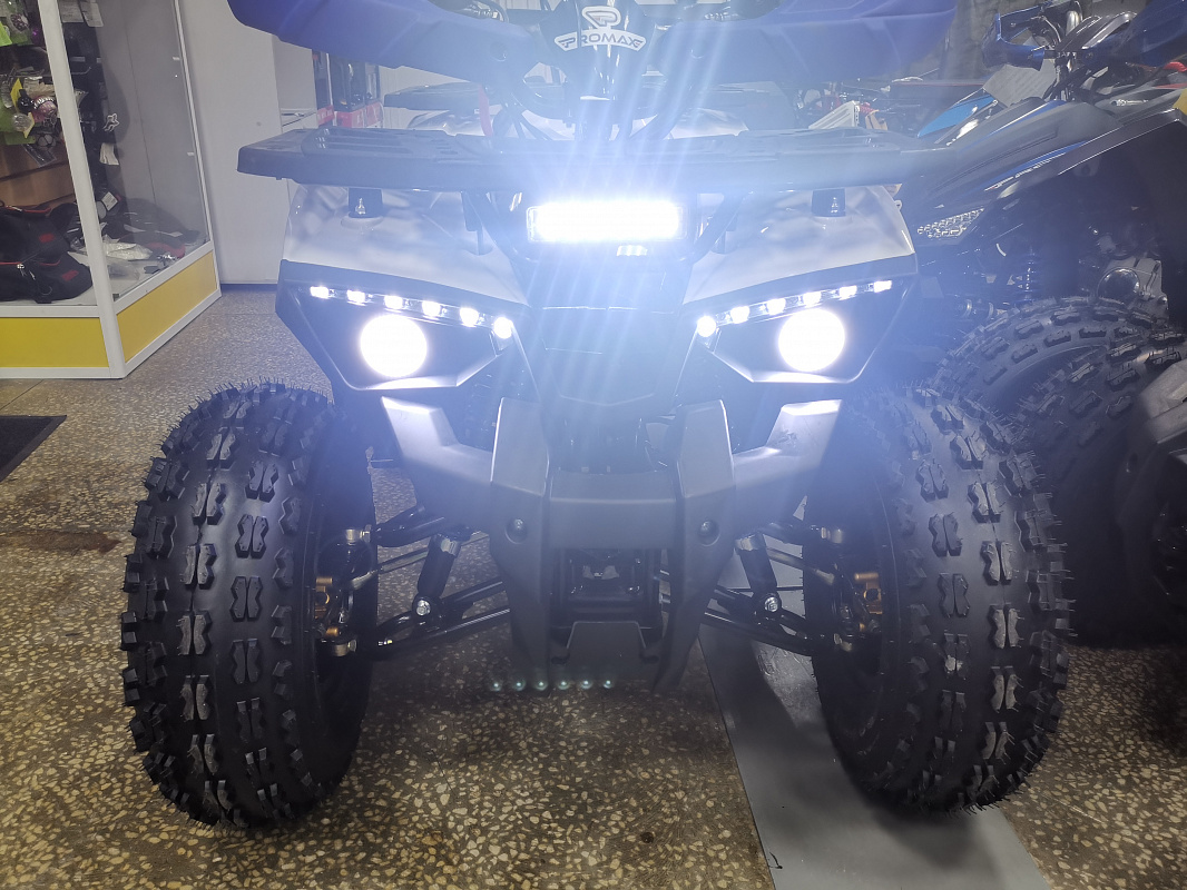 Квадроцикл PROMAX WILD 175 LUX в Барнауле
