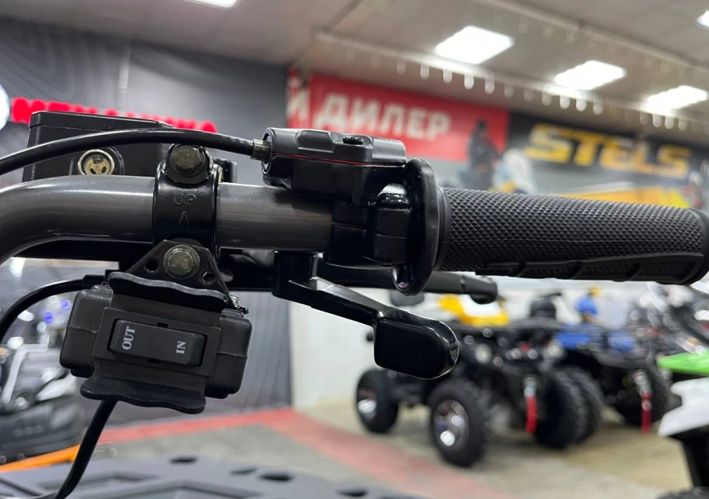 Квадроцикл PROMAX RENEGADE 300 LONG WINCH PRO (2025) в Барнауле