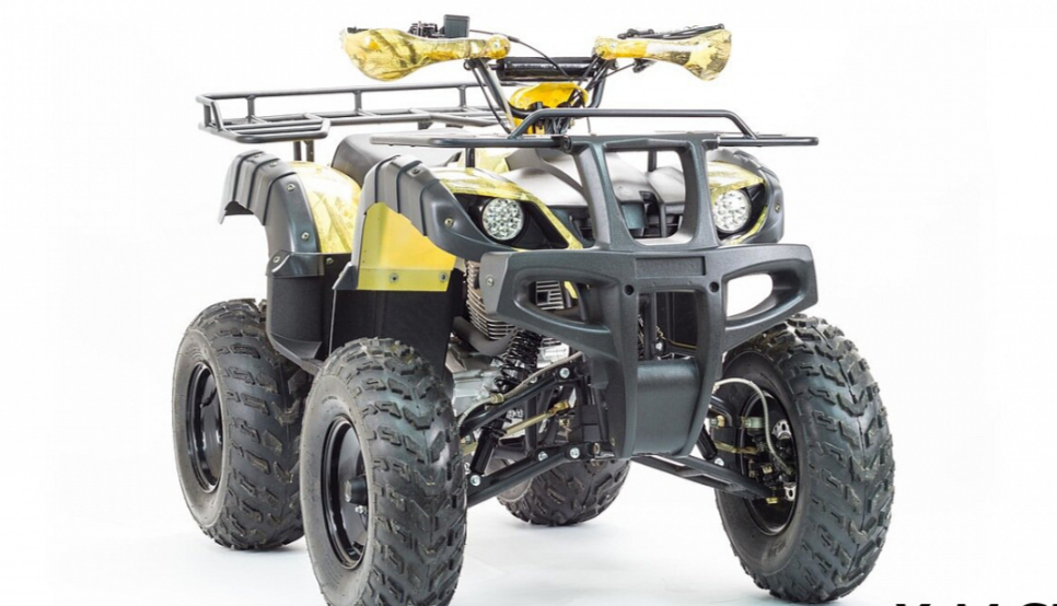 Квадроцикл MOTOLAND (МОТОЛЕНД) 250 ADVENTURE в Барнауле