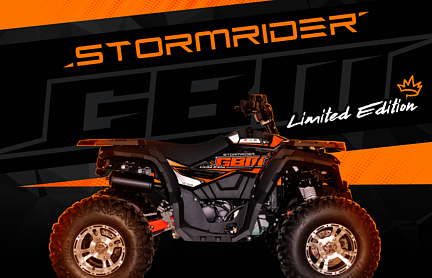 Квадроцикл GBM STORMRIDER 320 NEW LUX в Барнауле