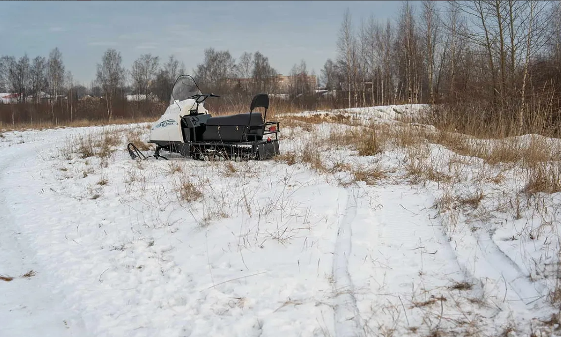 Снегоход БТС АРТИК 4Т 20 л.с. э/зап, реверс, тормоз в Барнауле