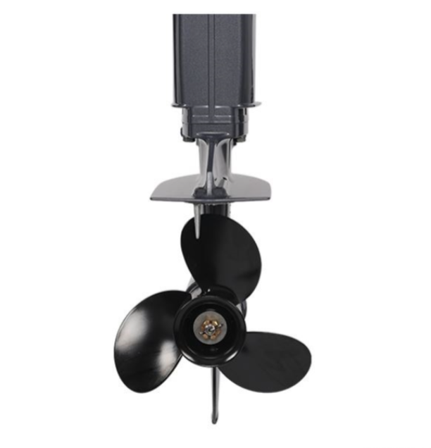 Лодочный мотор ALLFA CG Т40FW S в Барнауле