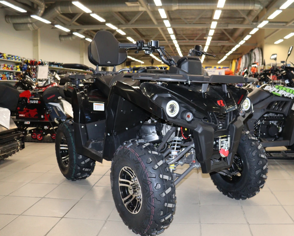 Квадроцикл PROMAX RENEGADE 300 LONG WINCH PRO (2025) в Барнауле