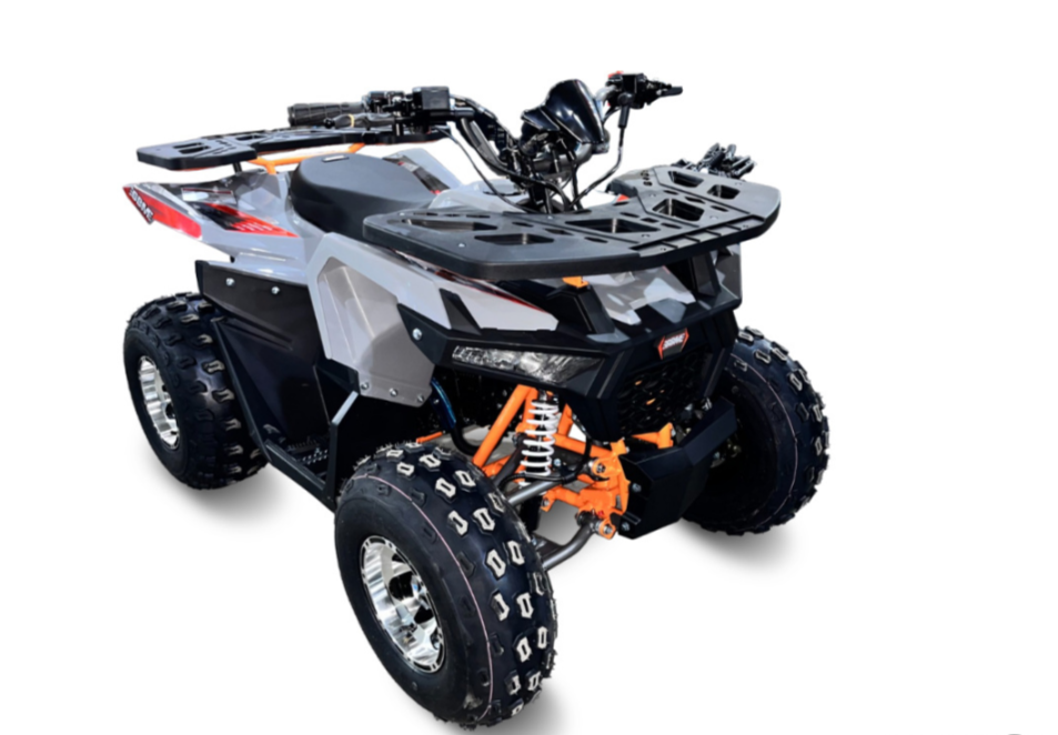 Квадроцикл GBM DAXTER 220 NEW PREMIUM в Барнауле