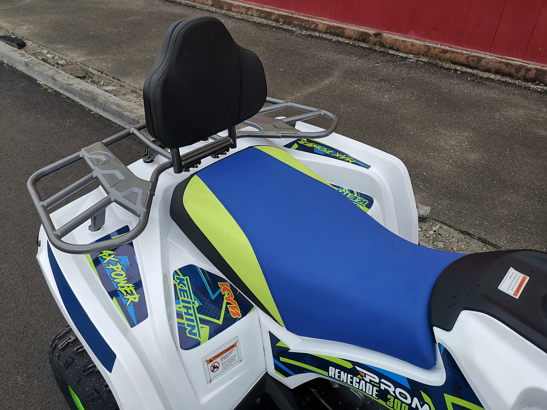 Квадроцикл PROMAX RENEGADE 280 LUX (2025) в Барнауле