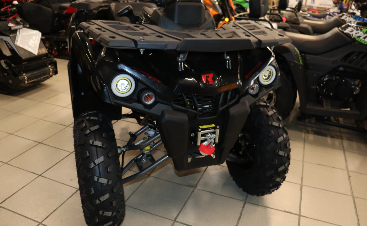 Квадроцикл PROMAX RENEGADE 300 LONG WINCH PRO (2025) в Барнауле