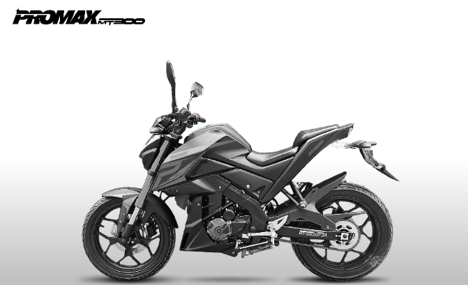 Мотоцикл PROMAX MT300 в Барнауле