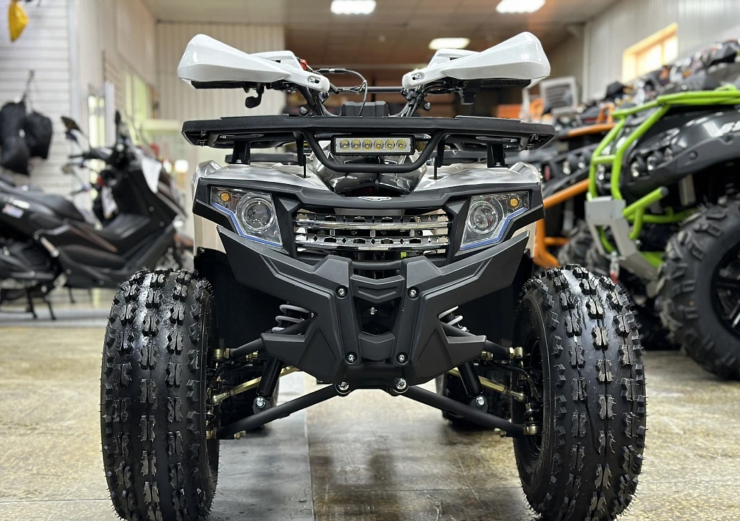 Квадроцикл PROMAX WILD 2.0 190 в Барнауле