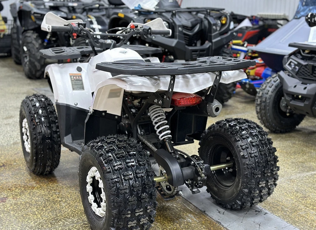 Квадроцикл PROMAX WILD 2.0 190 в Барнауле