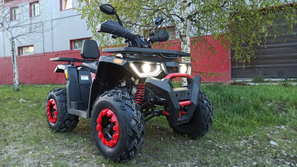 Квадроцикл PROMAX WILD 300 LUX (2024) в Барнауле