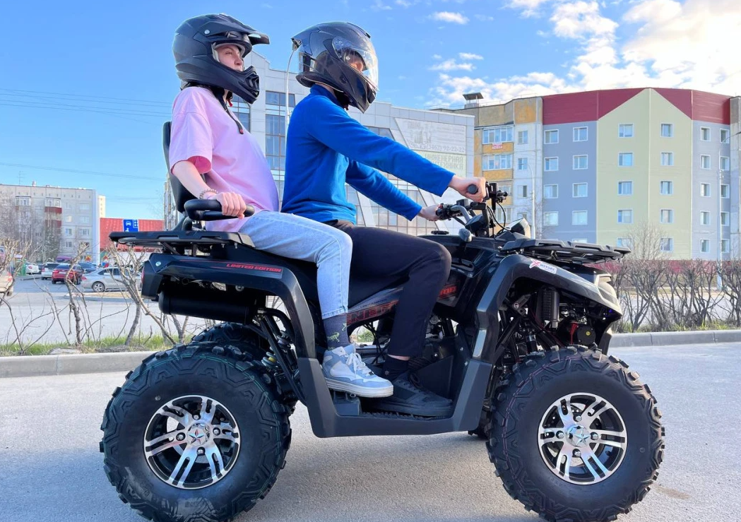 Квадроцикл PROMAX RENEGADE 300 LONG WINCH PRO (2025) в Барнауле