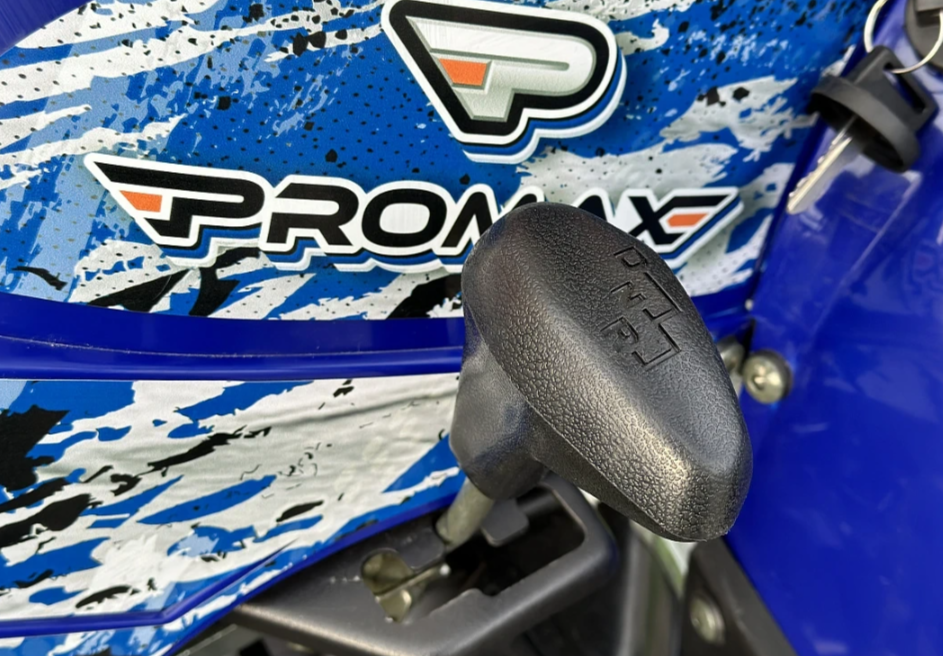  Квадроцикл PROMAX ATV 250 MAX (2025) в Барнауле