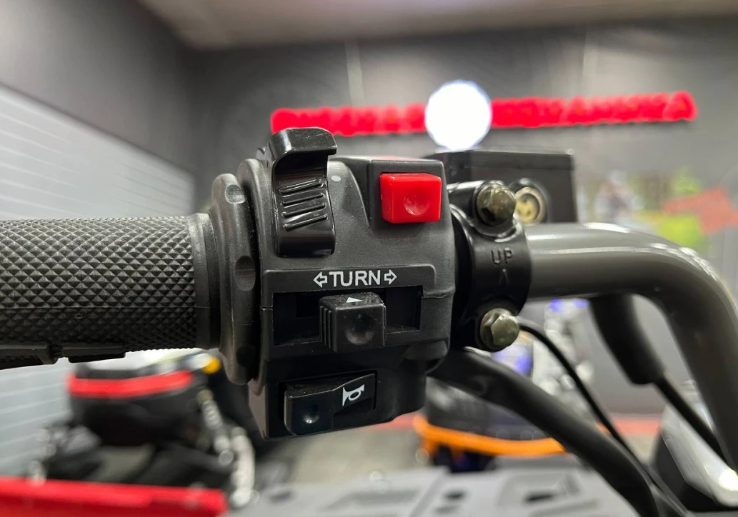 Квадроцикл PROMAX RENEGADE 300 LONG WINCH PRO (2025) в Барнауле