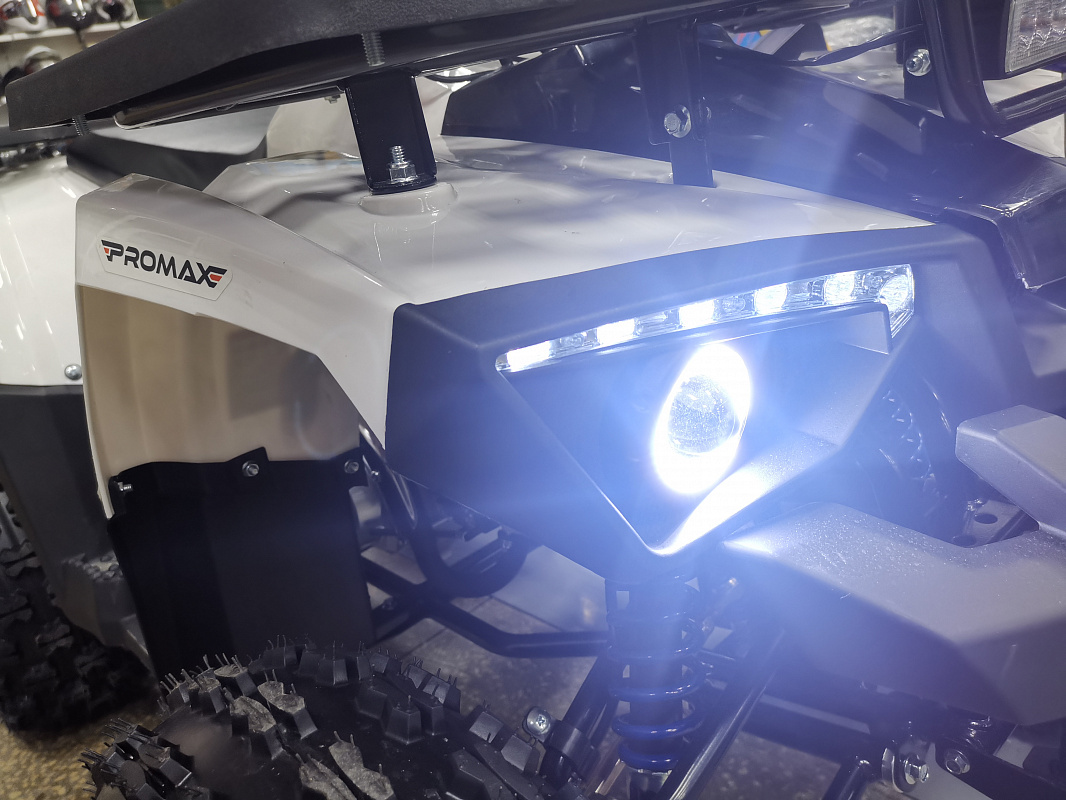 Квадроцикл PROMAX WILD 175 LUX в Барнауле