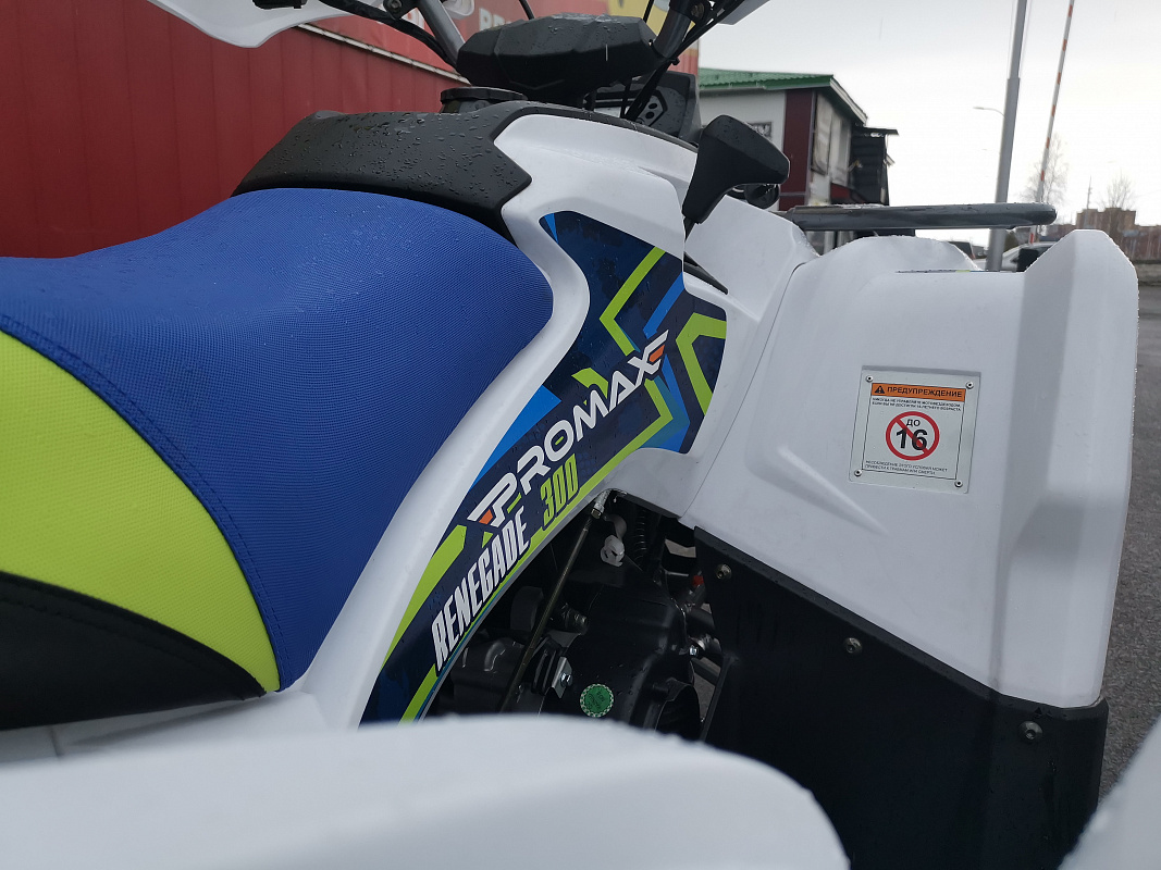 Квадроцикл PROMAX RENEGADE 280 LUX (2025) в Барнауле