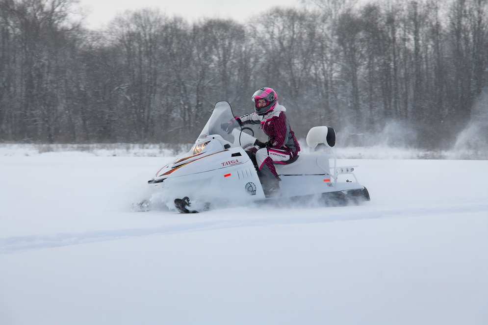 Снегоход Русская механика РМ TAYGA PATRUL 551 SWT в Барнауле