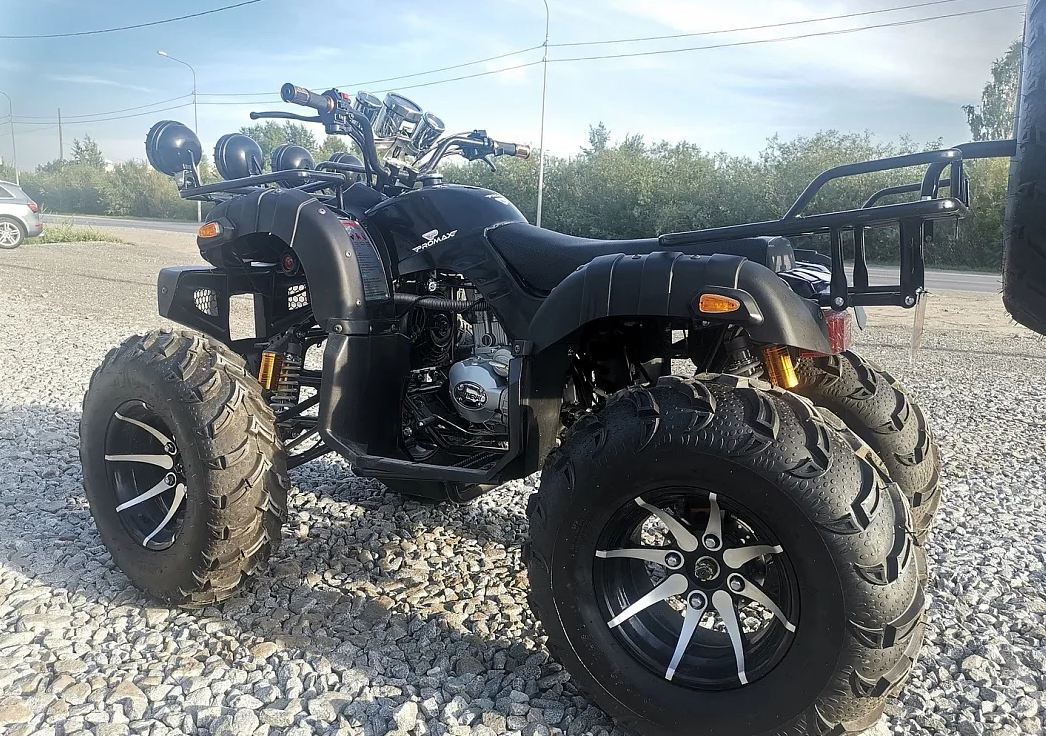 Квадроцикл PROMAX LEO 300 Max (кардан) в Барнауле