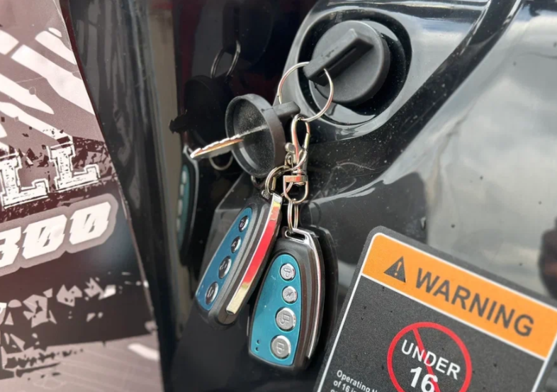 Квадроцикл GBM CROSS HILL 300 NEW в Барнауле