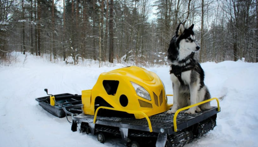 Мотобуксировщик LEBEDEV MOTORS ВОЛКОДАВ POWER V13 в Барнауле