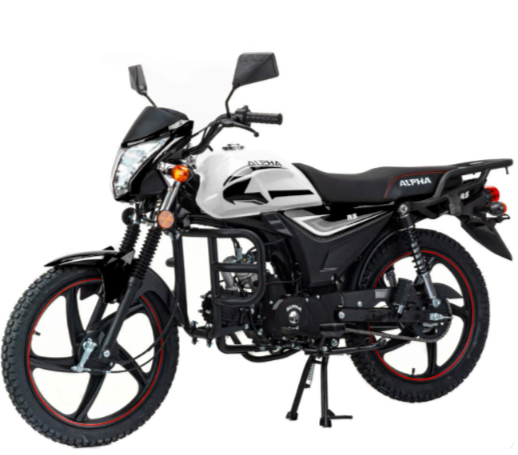 Мопед MOTOLAND (МОТОЛЕНД) Альфа RS 11 (LM48-B) в Барнауле