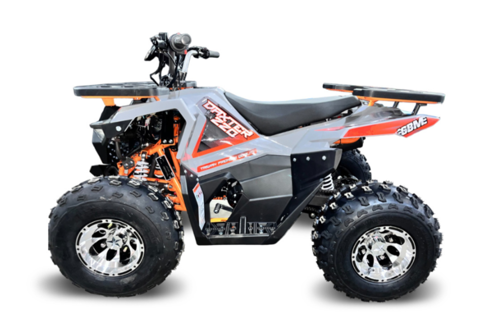 Квадроцикл GBM DAXTER 220 NEW PREMIUM в Барнауле
