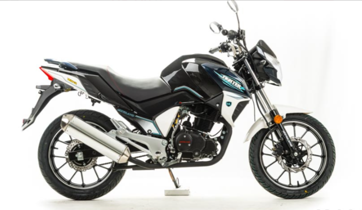 Мотоцикл MOTOLAND (МОТОЛЕНД) FIGHTER 250 в Барнауле