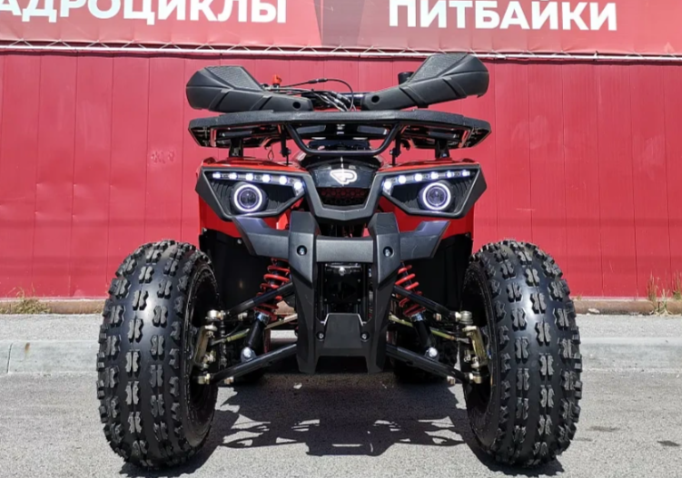 Квадроцикл PROMAX WILD 175 BASIC в Барнауле