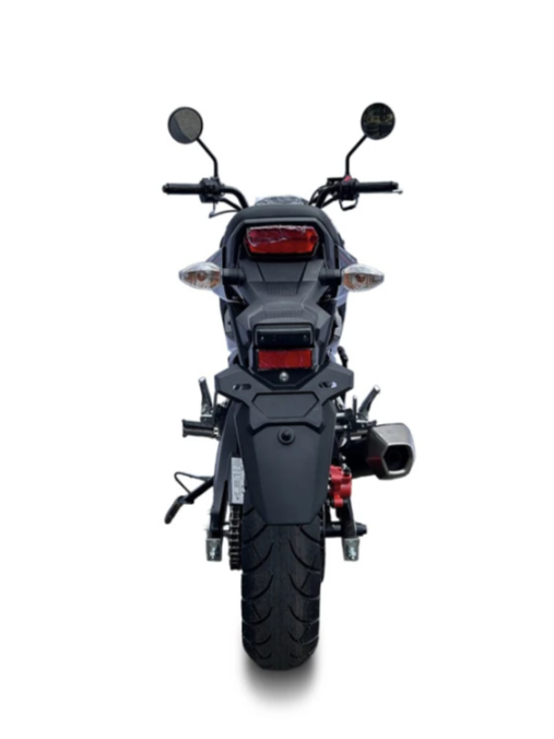 Мотоцикл PROMAX STRYKER 200(49) в Барнауле