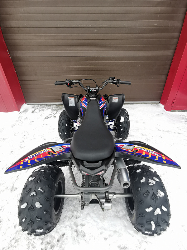 Квадроцикл PROMAX RAPTOR 300 NEW RedBull в Барнауле