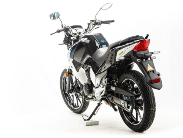 Мотоцикл MOTOLAND (МОТОЛЕНД) FIGHTER 250 в Барнауле