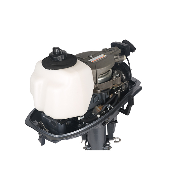 ЛОДОЧНЫЙ МОТОР ALLFA CG T5 в Барнауле