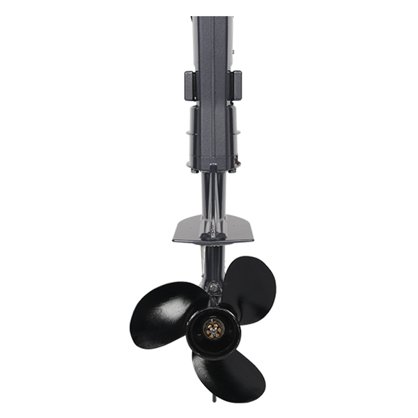 ЛОДОЧНЫЙ МОТОР ALLFA CG T5 в Барнауле