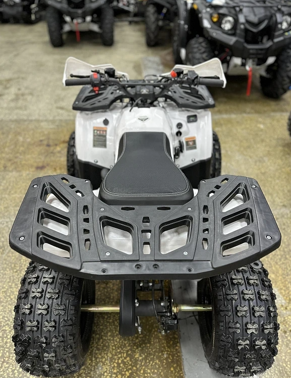 Квадроцикл PROMAX WILD 2.0 190 в Барнауле