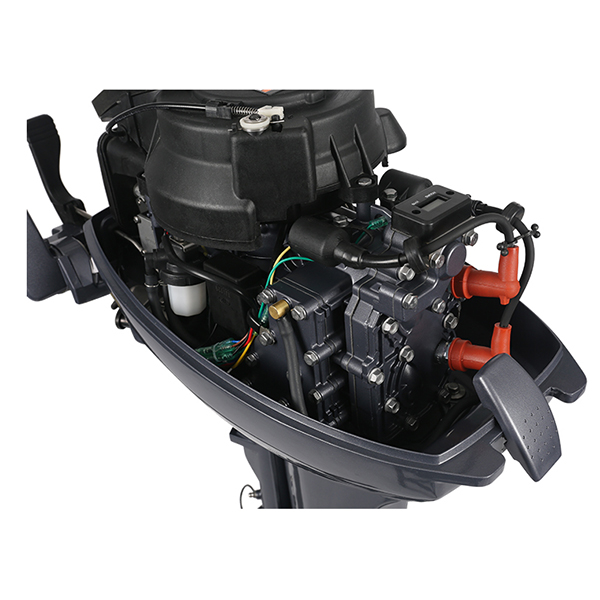 ЛОДОЧНЫЙ МОТОР ALLFA CG Т9,9 Limit в Барнауле