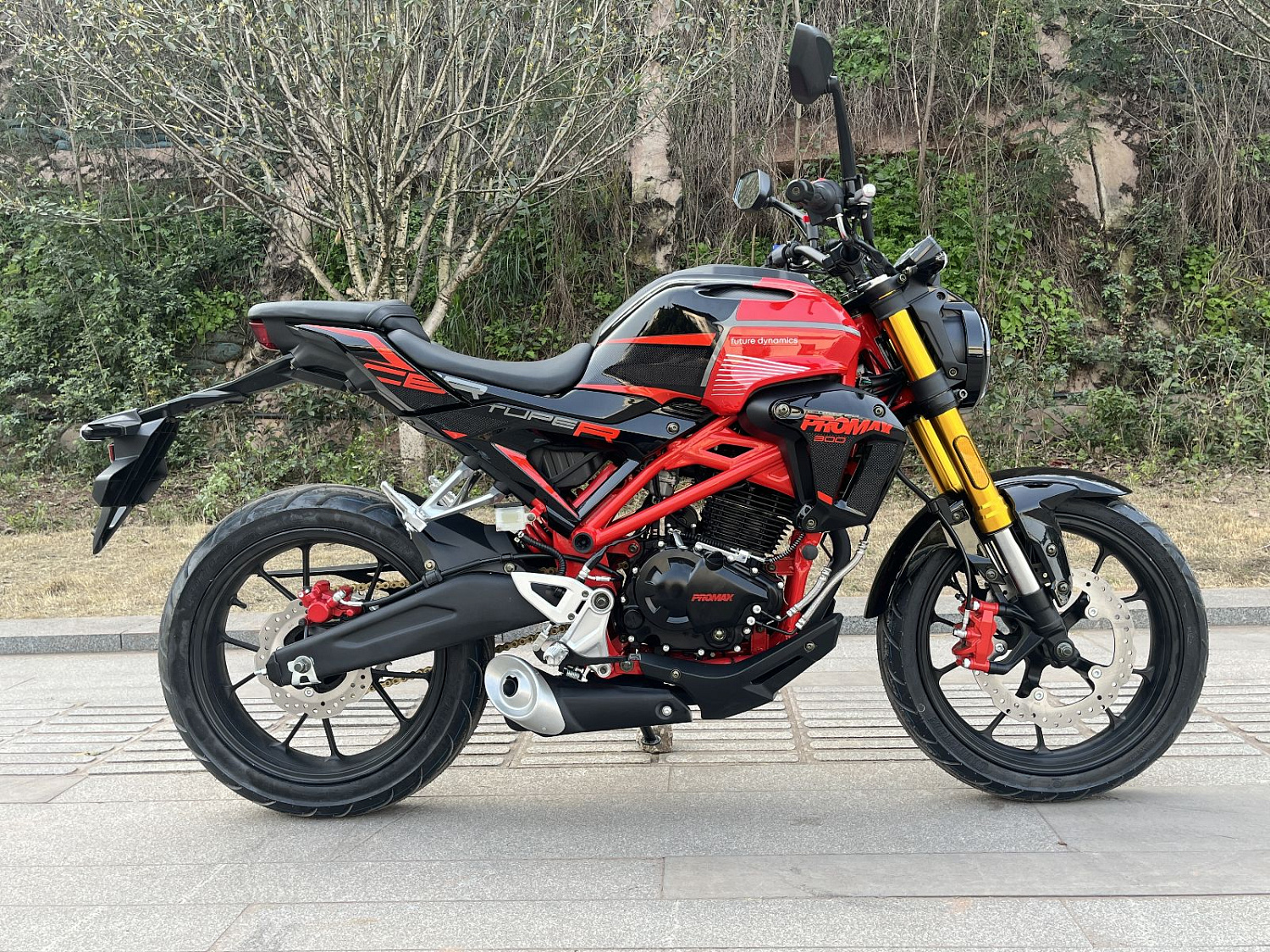 Мотоцикл PROMAX CB300 в Барнауле