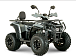 Квадроцикл YACOTA DRAGON LUX LD 150 PRO-SPORT в Барнауле